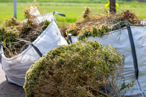 Best Mattress Removal Service  in Woodridge, IL